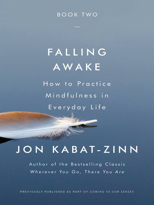 Title details for Falling Awake by Jon Kabat-Zinn - Available